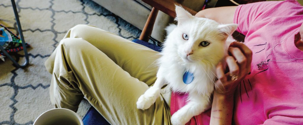 Catnip Cafe, Norfolk