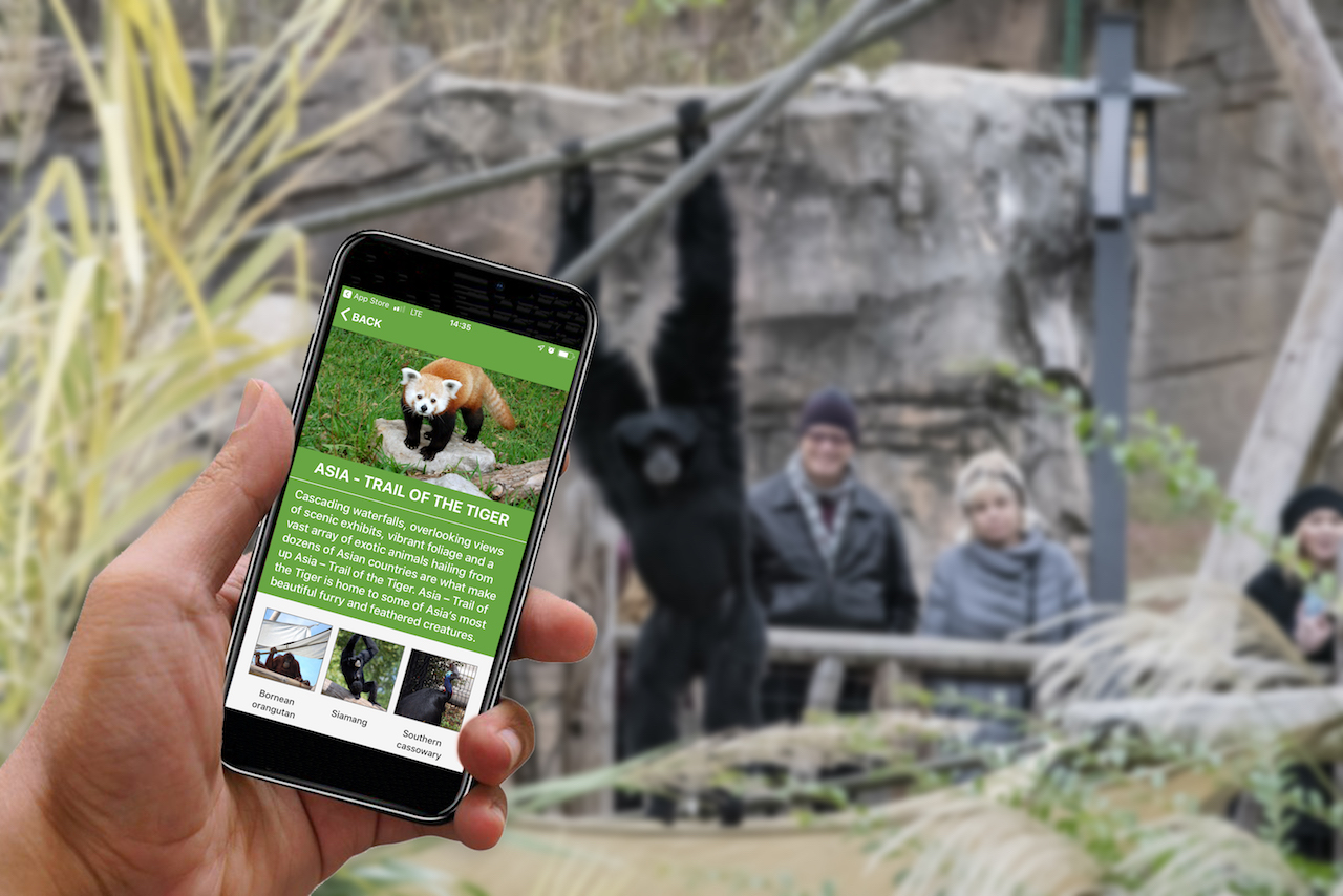Virginia Zoo mobile app