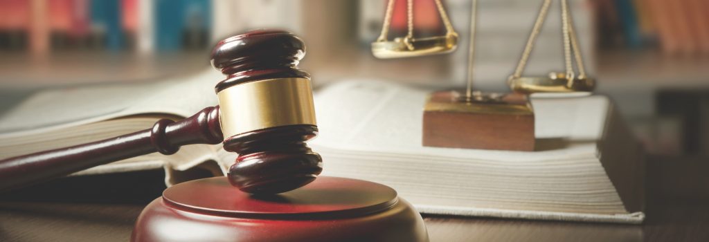Top Lawyer Lisa Bertini