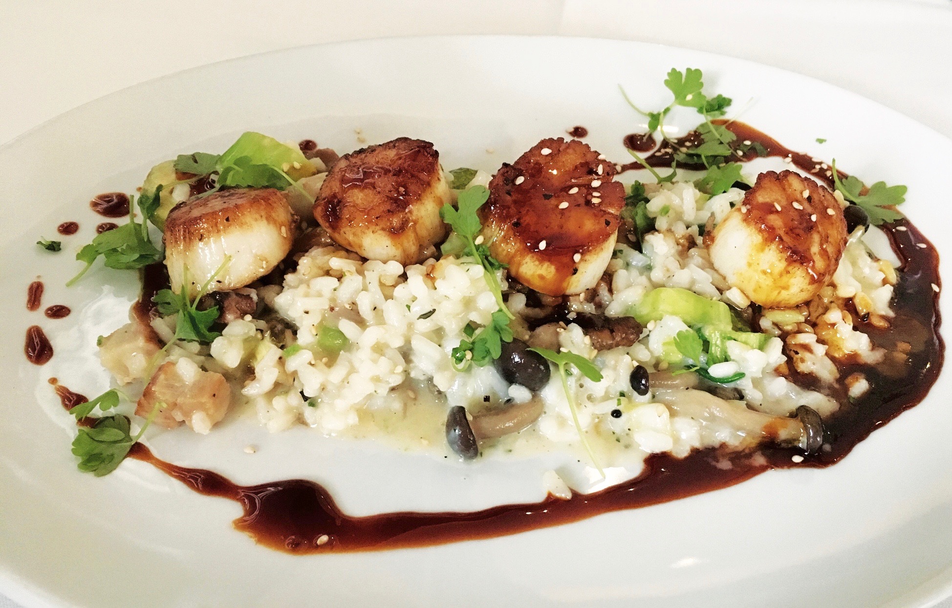 Scallops at Fin Seafood in Newport News