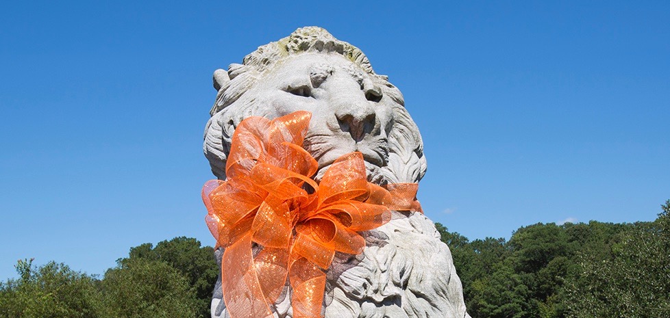 Lion’s Bridge, Food Bank, Hunger Awareness Month