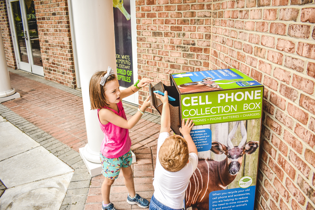 cell phone recycling