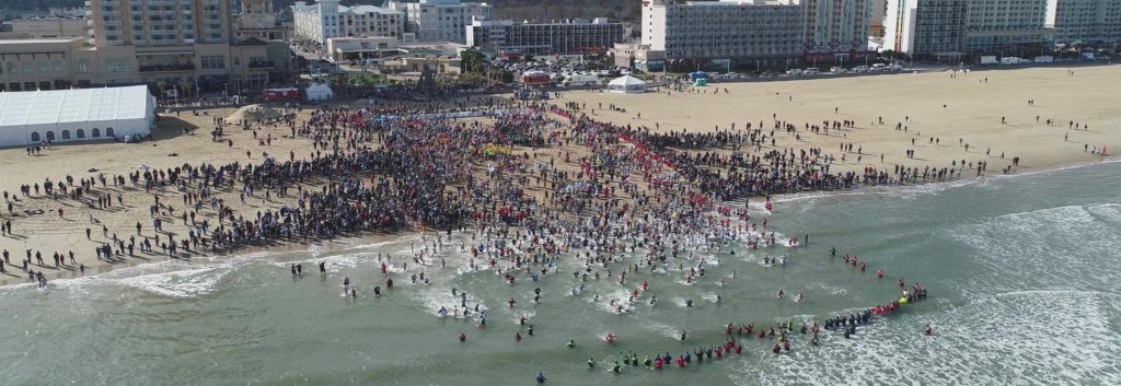 2020 Polar Plunge