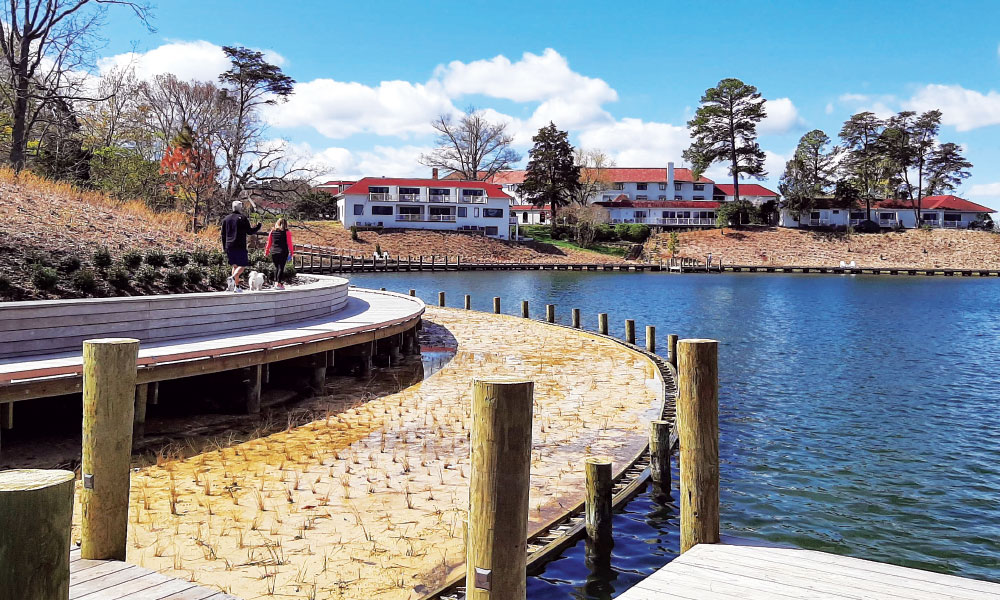 The Tides Inn