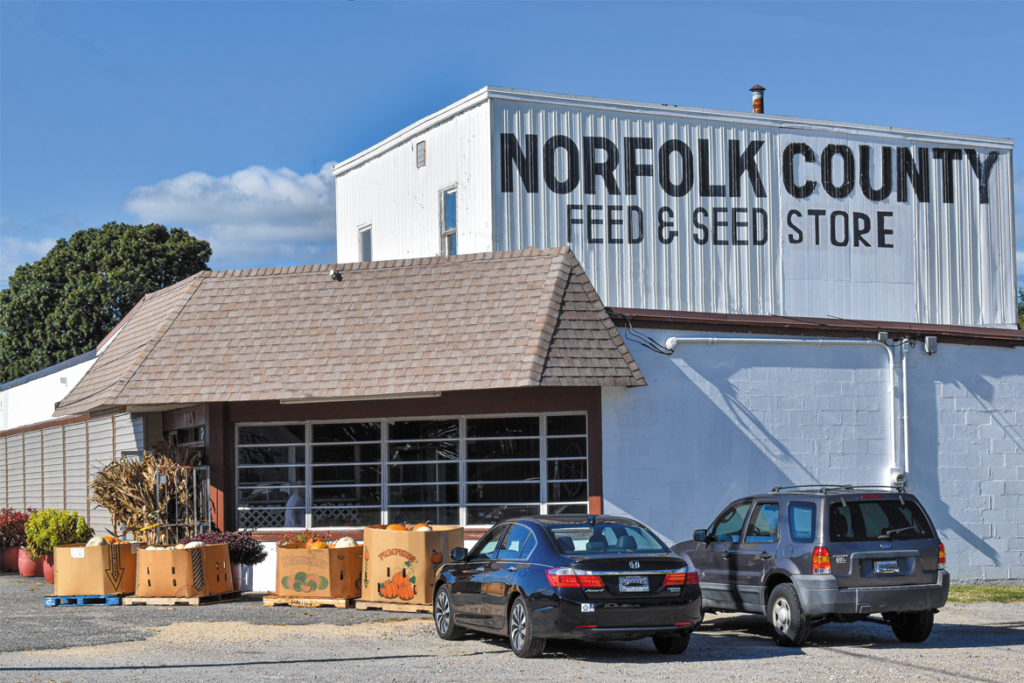 Norfolk Seed Company ©Beth Hester