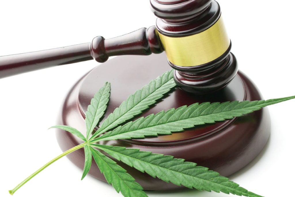 the legal buzz