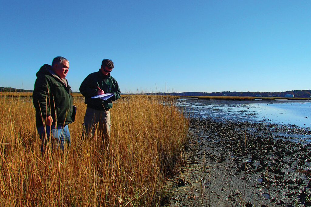 Photos Courtesy of Wetlands Studies and Solutions, Inc.