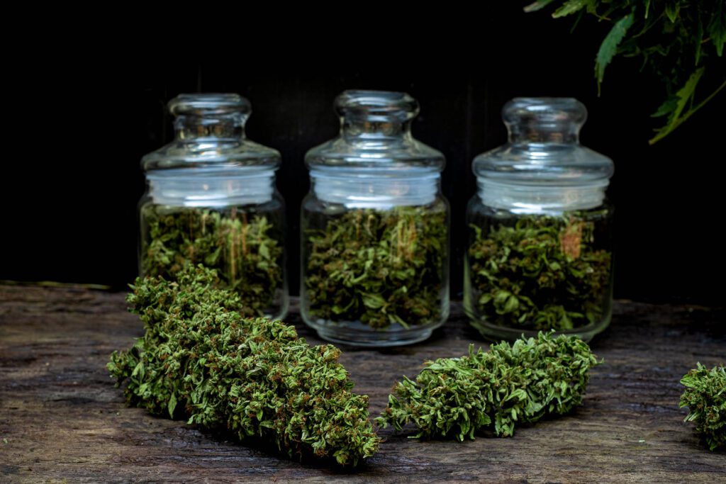 Dried cannabis and marijuana buds cured in transparent glass jars were placed on a wooden floor with a black background.
